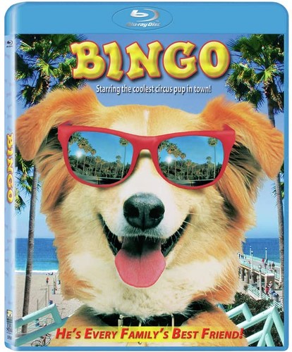 Bingo 1991 cindy - 1991,