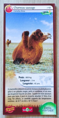 Carte merveilles monde - merveilles,
