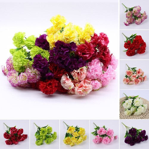 11head carnation fleurs - 11head-carnation,
