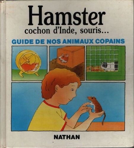 Hamster cochon inde - hamster,, d'inde