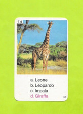 Carte Italienne - N°7d - Girafe