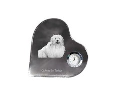 Coton De Tulear, Chien En