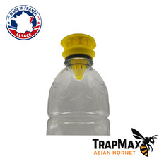 Piège à frelon asiatique –