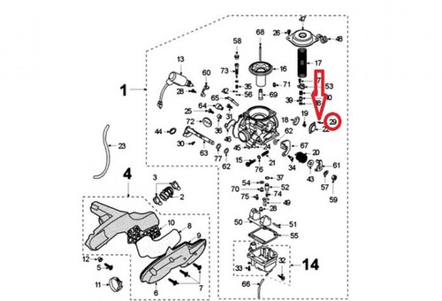 Vis fixation membrane
