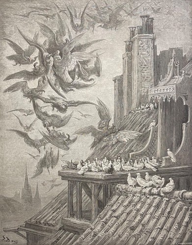 Vautour les pigeons - les,