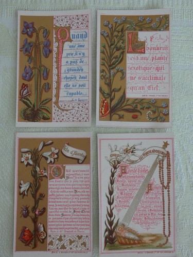 Image pieuse fleurs - 4,