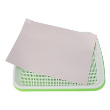 Hydroponique Plateau Germoir