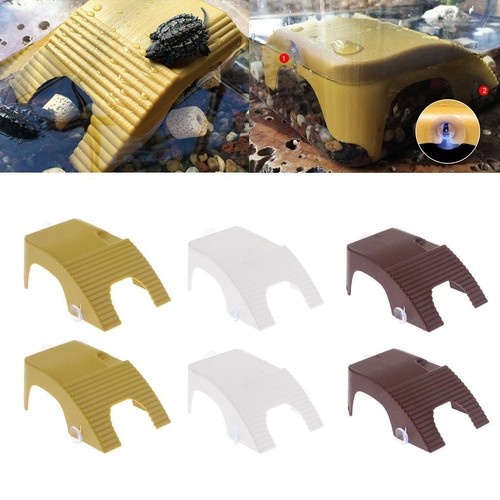 2pcs formes reptile - 2pcs,
