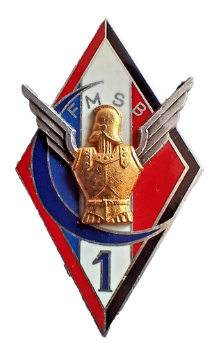 Insigne parachutistes para - parachutistes,