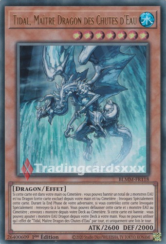 Tidal maître - yu-gi-oh!,