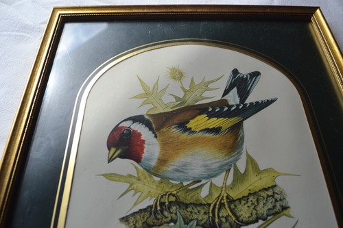 Aquarelle david andrews - aquarelle,