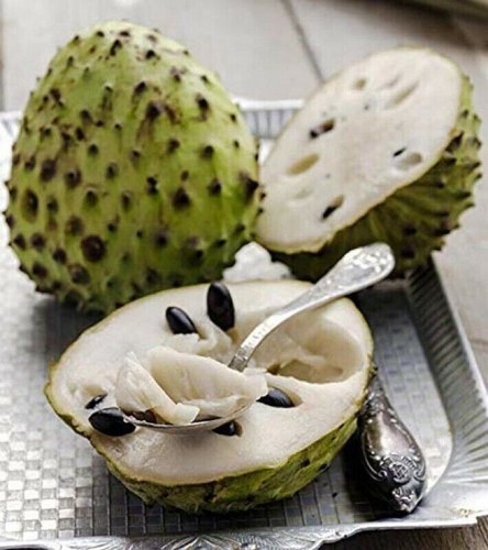 Corossol guanabana - guanabana,