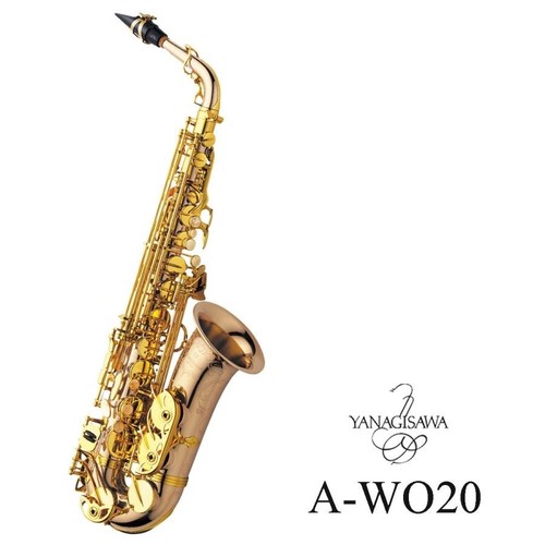 Saxophone alto professionnel
