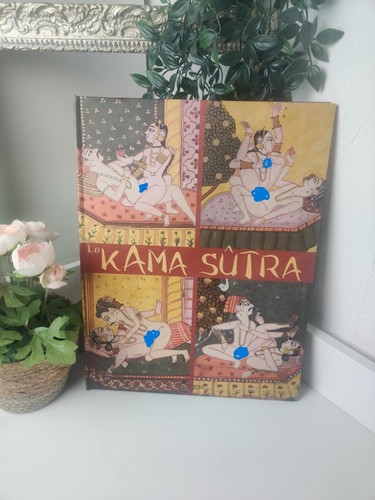 Livre kama sutra illustré - le,