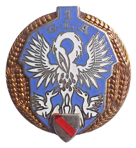 Insigne parachutistes para - insigne,