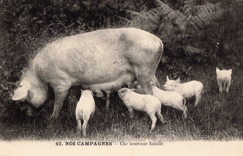 Cpa en limousin - 23, 87