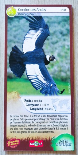 Carte merveilles monde - carte,