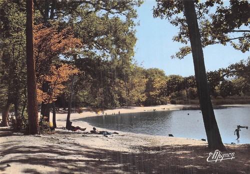 Lorris etang des bois - 45,