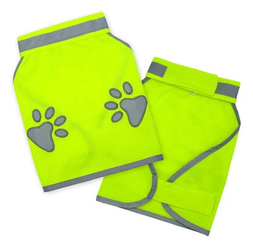Lhassa apso haute visibilité - haute,