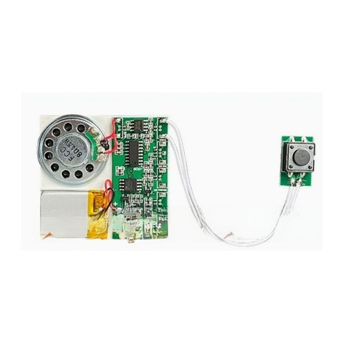 Pour bricolage module vocal