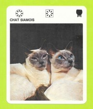Sheet - Le livre de Paris - 1975 - Siamese Cat