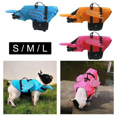 Pour chien avec - chien,