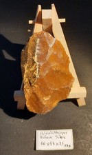 Collections Paléolithique