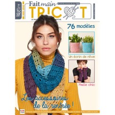 FAIT MAIN TRICOT 3 H LES ACCESSOIRES DE LA RENTREE 76 MODELES