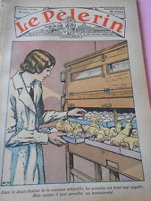 Artificial Incubator Chicks Broken Their Shell Print 1936