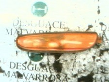 4805141 PILOTE AVANT GAUCHE /