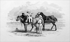 HIPPISM - antique FRENCH HORSE