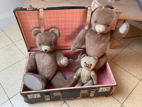 Ours peluche année - ours, 50