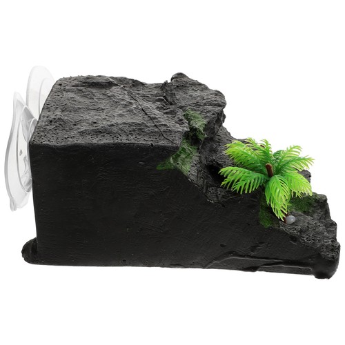 Plateforme tortue aquatique - tortue,