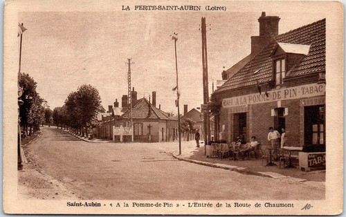 Ferte saint aubin pine - ferte,