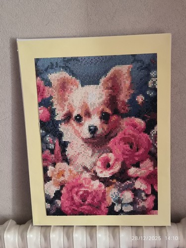 Diamond painting chiwawa - diamond, :