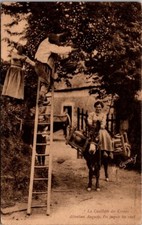 *65703 cpa 14 Normandie - la Cueillette des Cerises