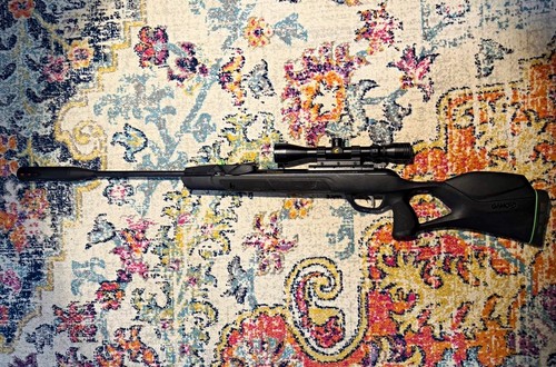 Gamo swarm magnum 10x - swarm,