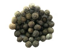 Pavot De Californie Orange AB