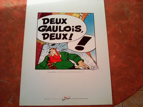 Sérigraphie astérix fils - sérigraphie, le