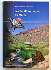 LES PAPILLONS DE JOUR DU MAROC