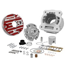 Cylindre Malossi DM 52 MHR