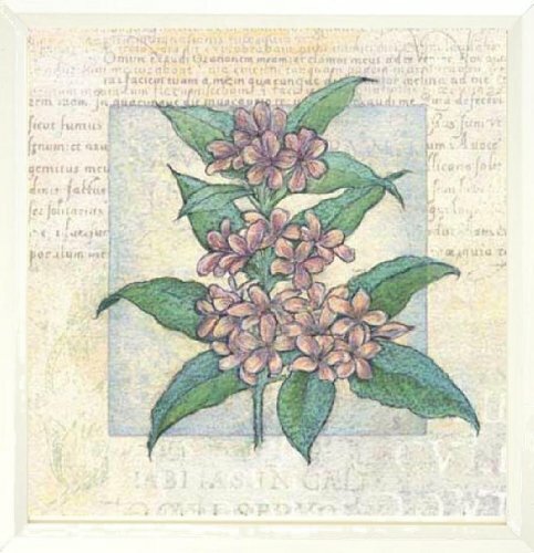 Framed flower fresco - 2, by