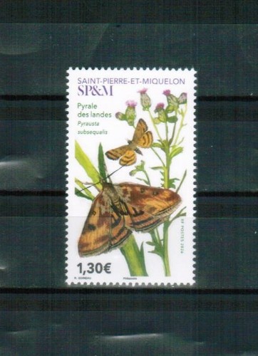 2026 fauna animals - sp&m,