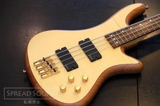 SCHECTER Diamond Series Stiletto Custom