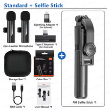 Microphone Reverb 2-en-1