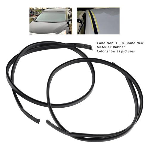 2pcs roof drip molding - roof,