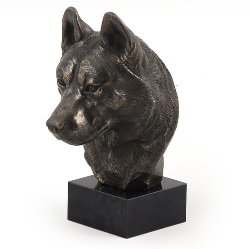 Tête husky sibérien sur - de,