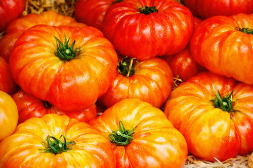 Graines tomate ananas - graines, de