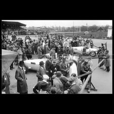 Photo A.025343 FERDINAND