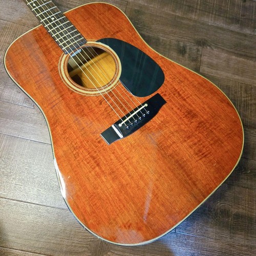 Guitare électrique acoustique